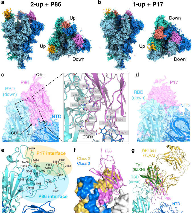 Fig. 6