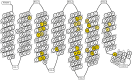 Fig. 12