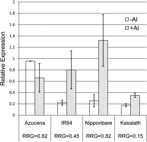 Figure 7.