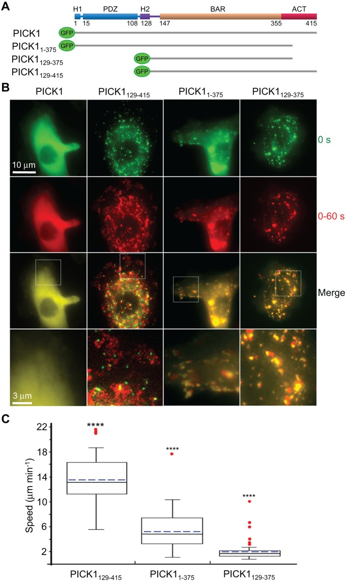 FIGURE 3: