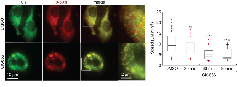 FIGURE 6: