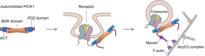 FIGURE 7: