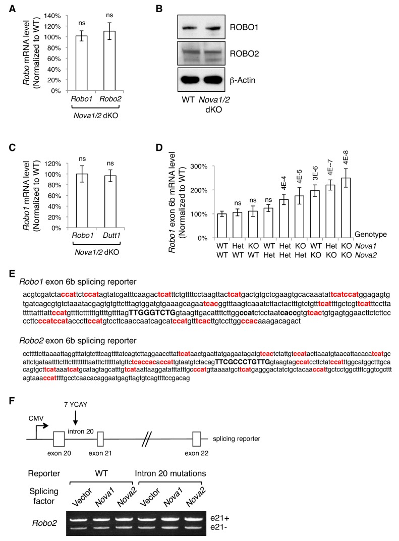 Figure 3—figure supplement 1.