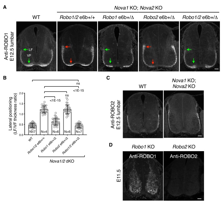 Figure 4—figure supplement 2.