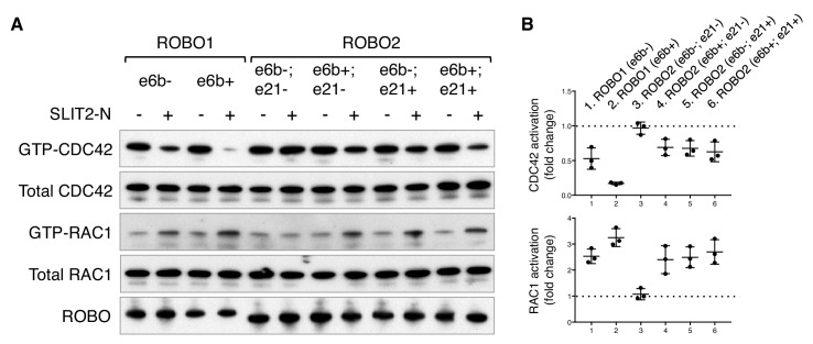 Figure 6.