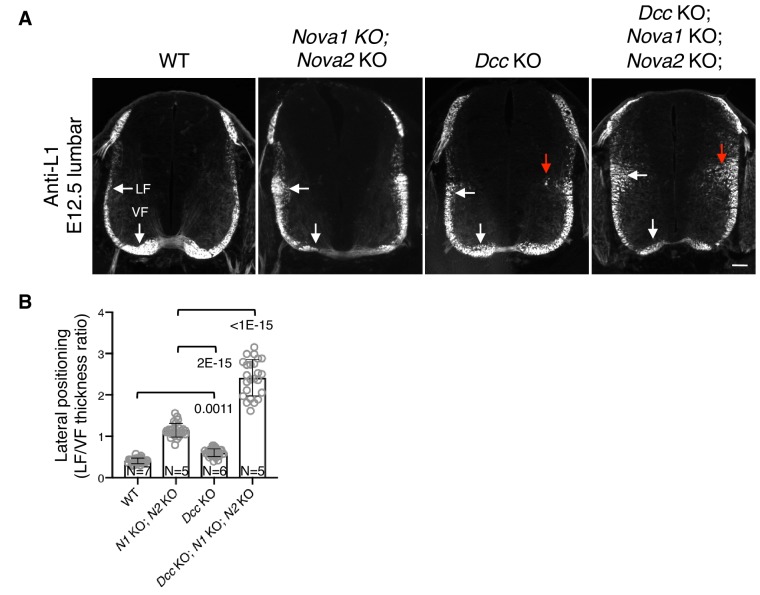 Figure 4—figure supplement 3.