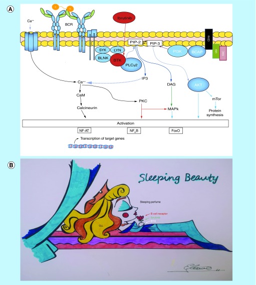 Figure 3. 