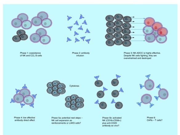 Figure 5. 