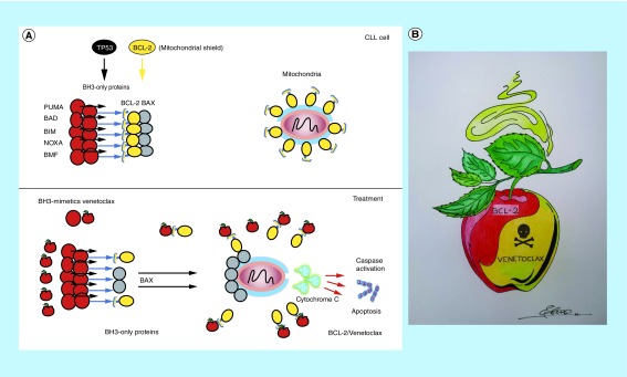 Figure 4. 