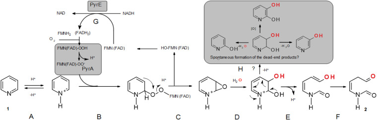FIG 7