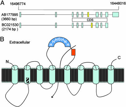 Fig. 2.