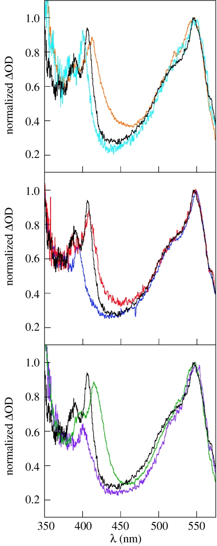 Figure 13