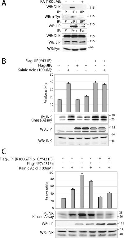 FIG. 7.