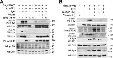 FIG. 6.