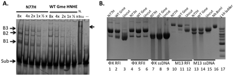 Figure 5