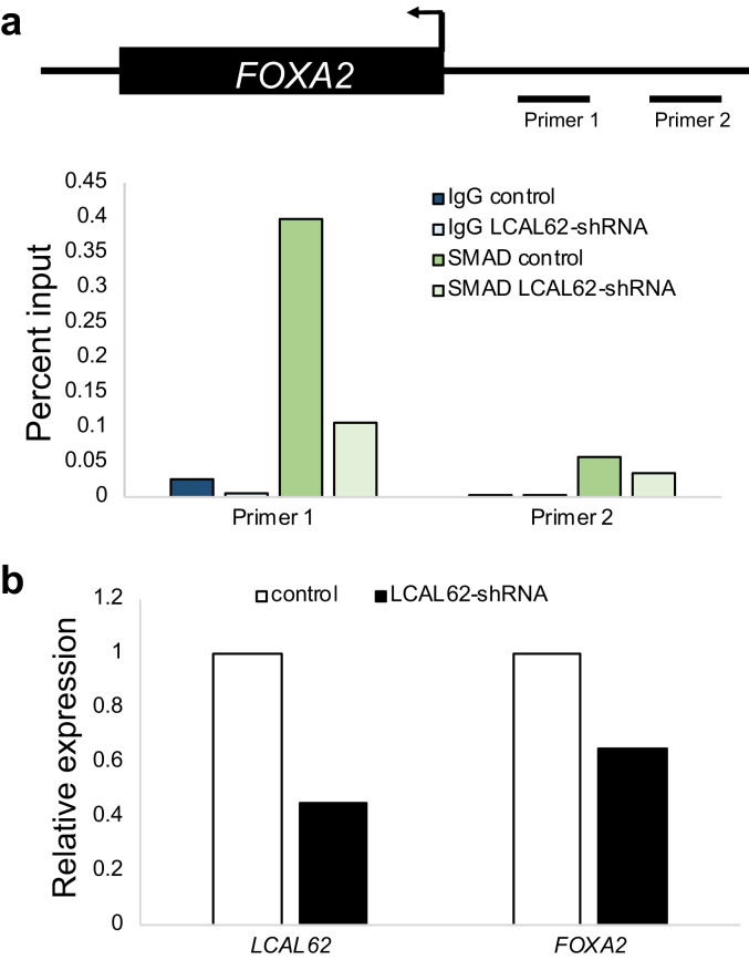 Figure 10