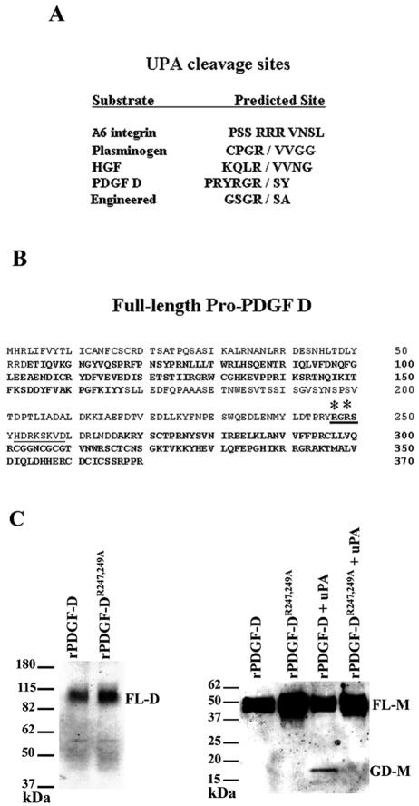 FIG. 7.