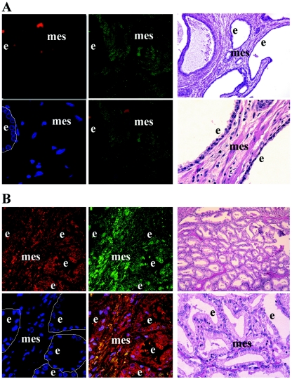 FIG. 8.