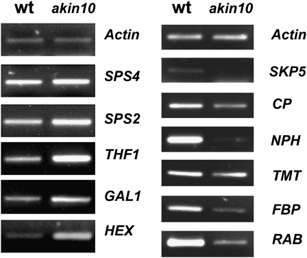 Figure 10.