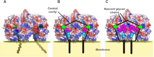 FIGURE 6.