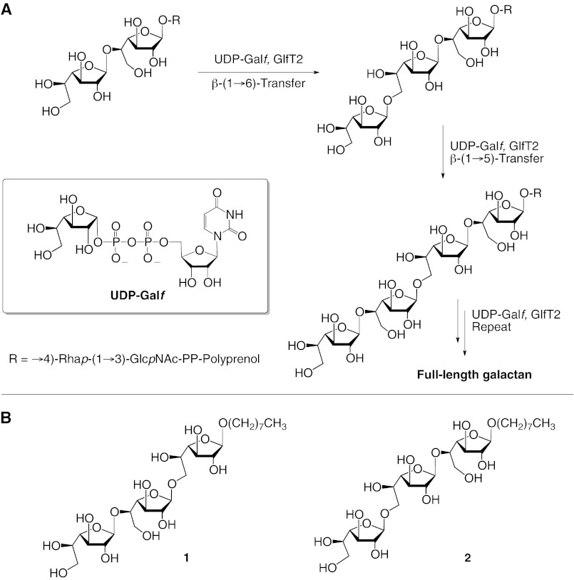 FIGURE 1.