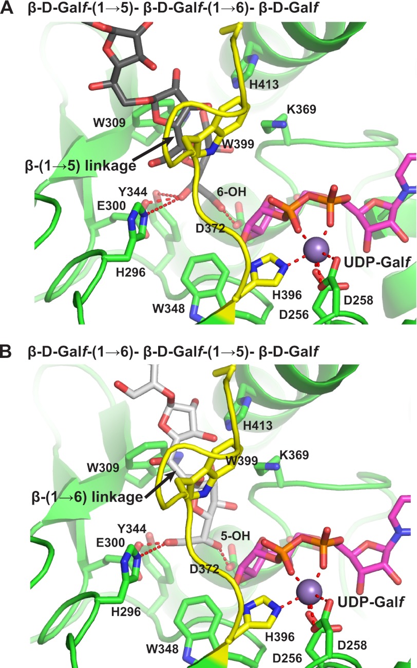 FIGURE 5.