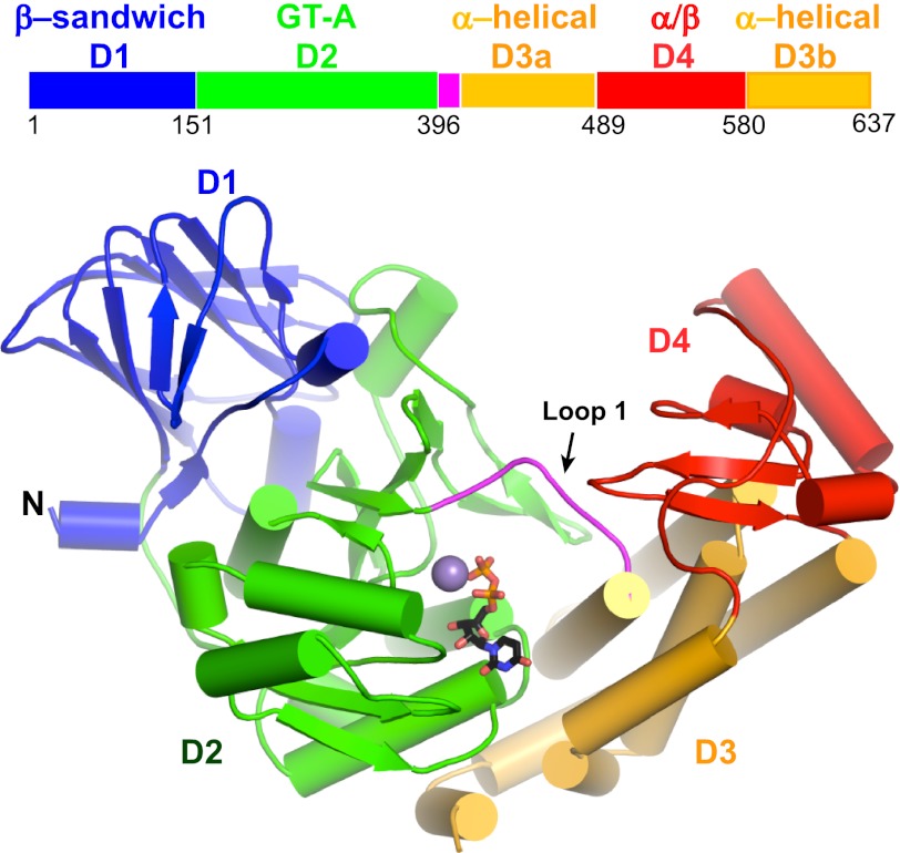 FIGURE 2.