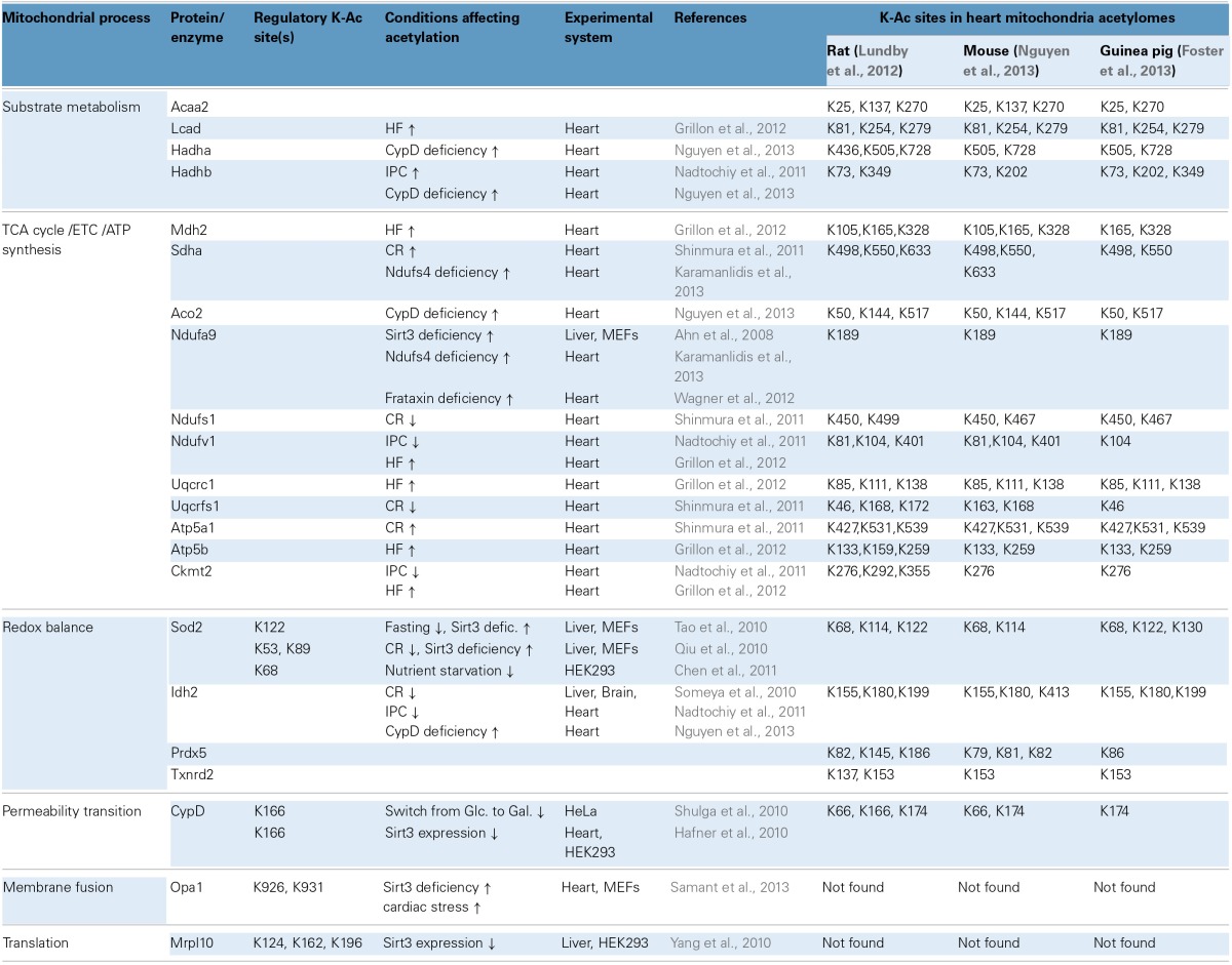 graphic file with name fphys-05-00301-i0002.jpg