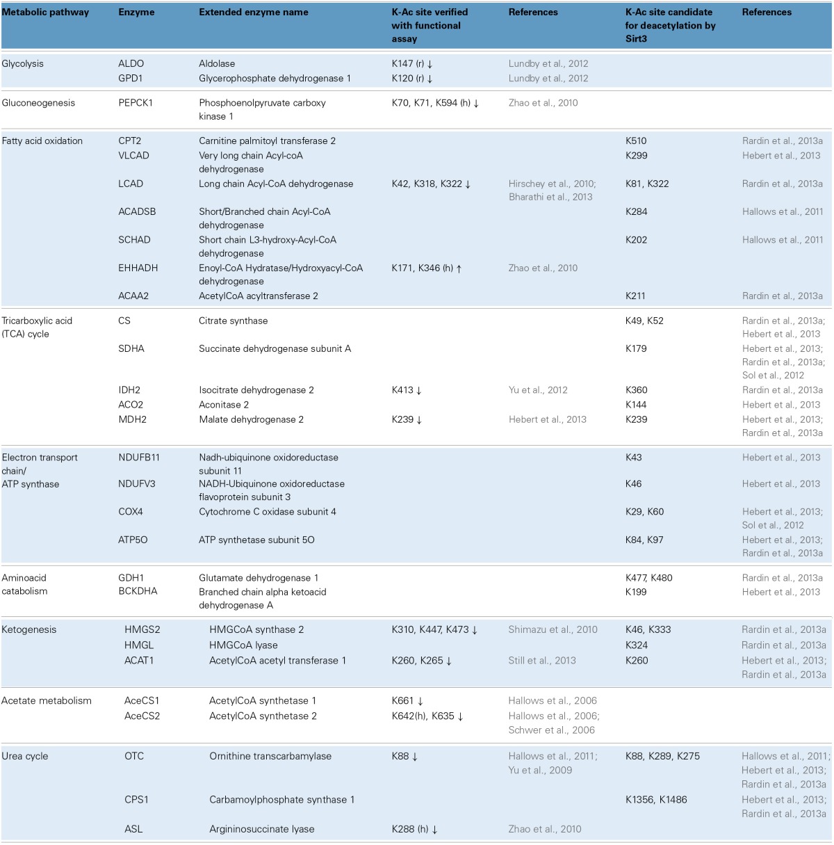 graphic file with name fphys-05-00301-i0001.jpg