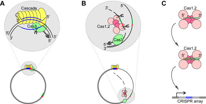 Figure 6.