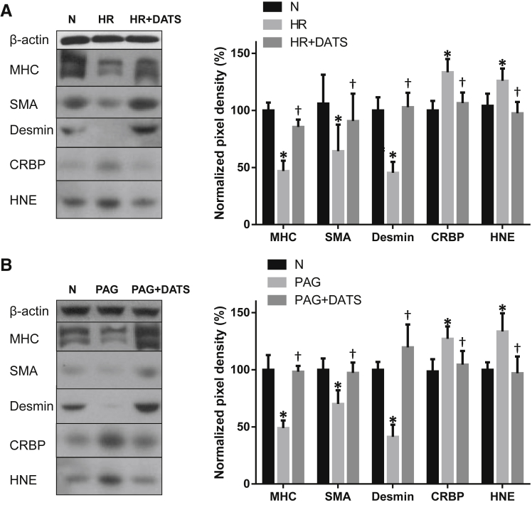 Figure 6