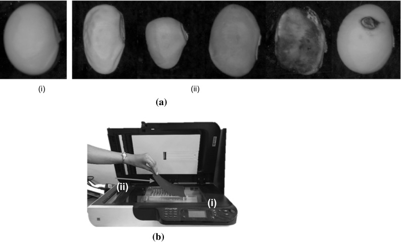 Fig. 1