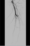Figure 5