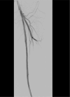 Figure 6