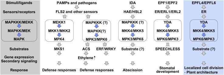 Figure 10.