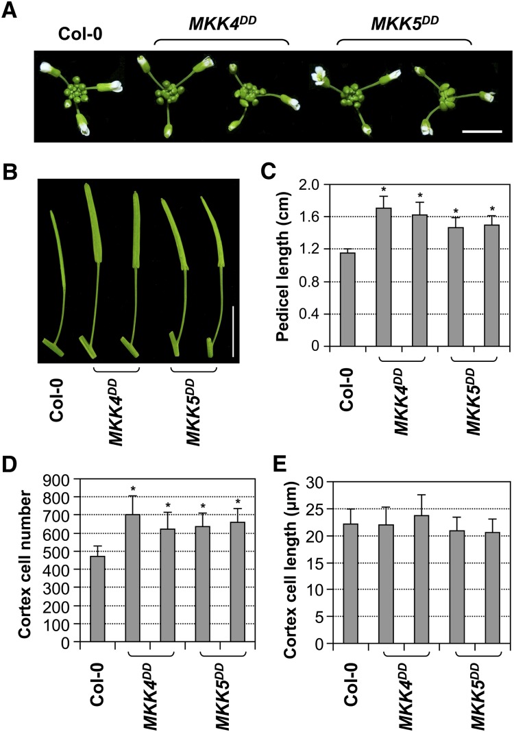 Figure 5.