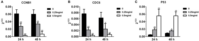 Figure 12