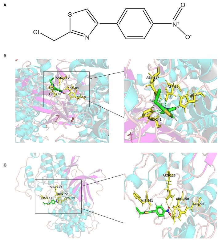 Figure 6