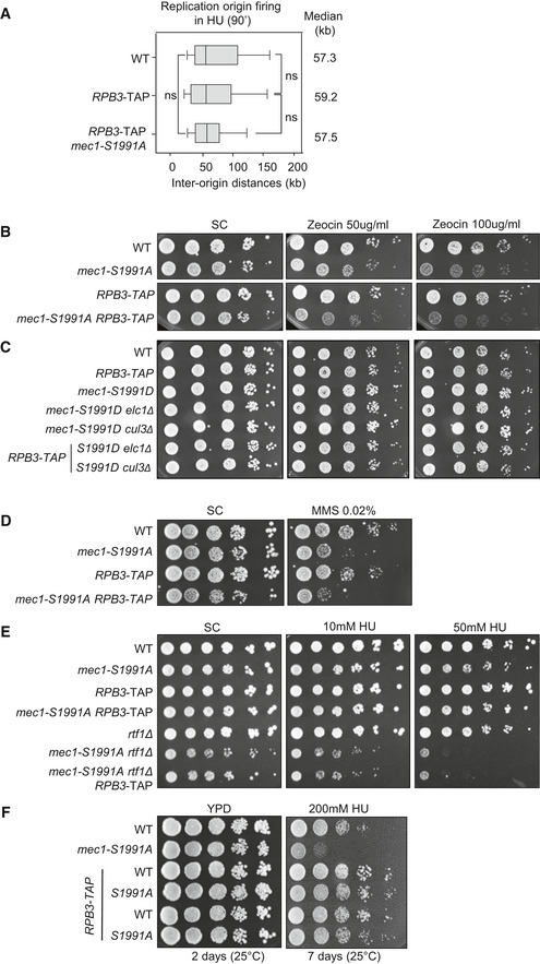 Figure EV3