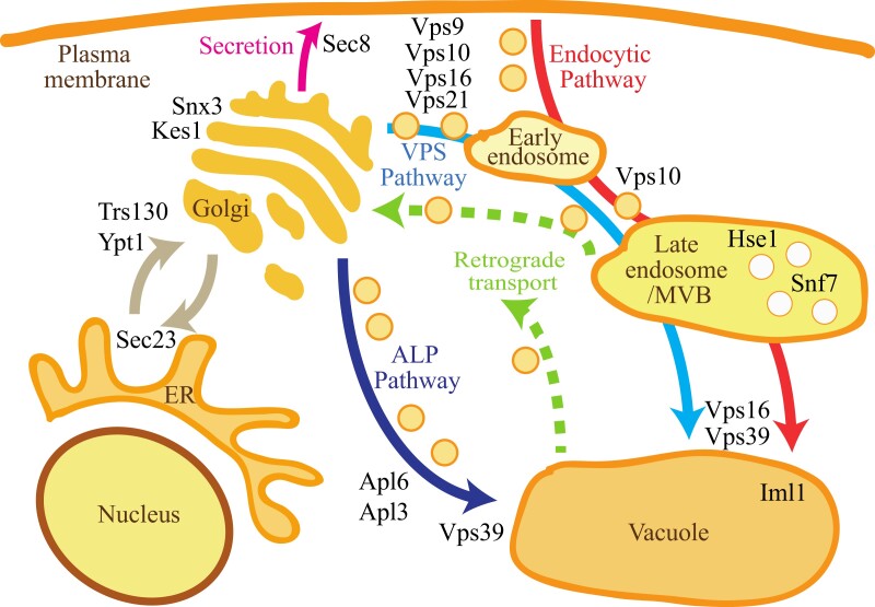 Figure 3.