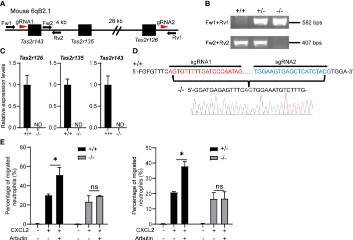 Figure 4