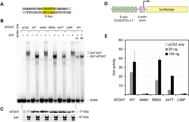 Figure 4.