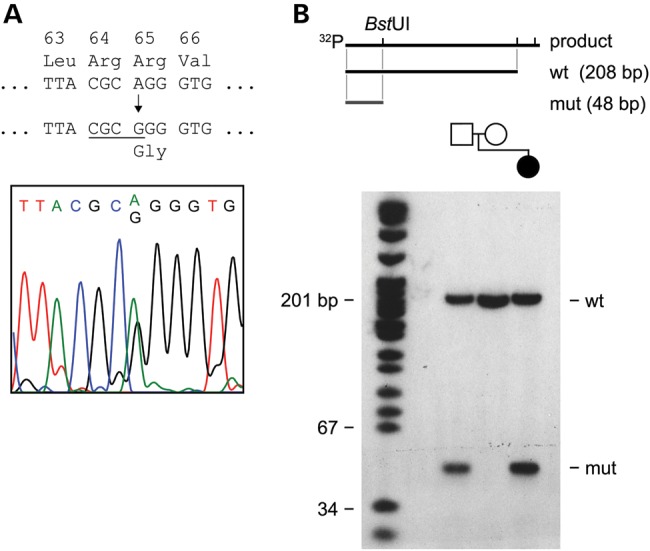 Figure 2.