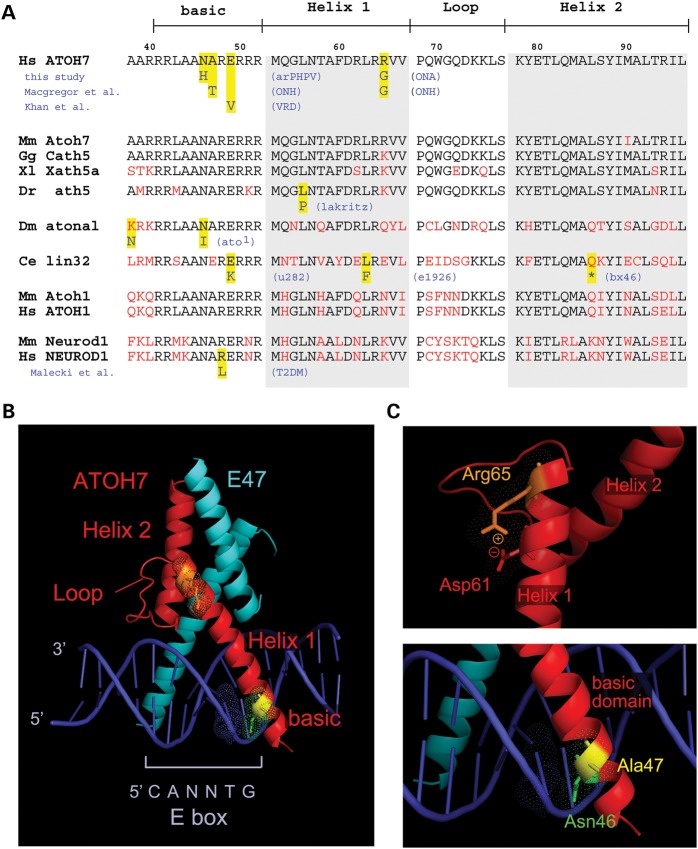 Figure 3.