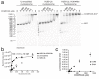 Figure 1—figure supplement 1.