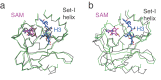 Figure 6—figure supplement 1.