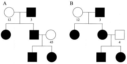 Figure  1