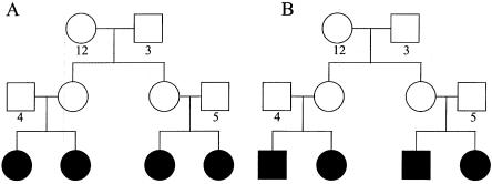 Figure  2