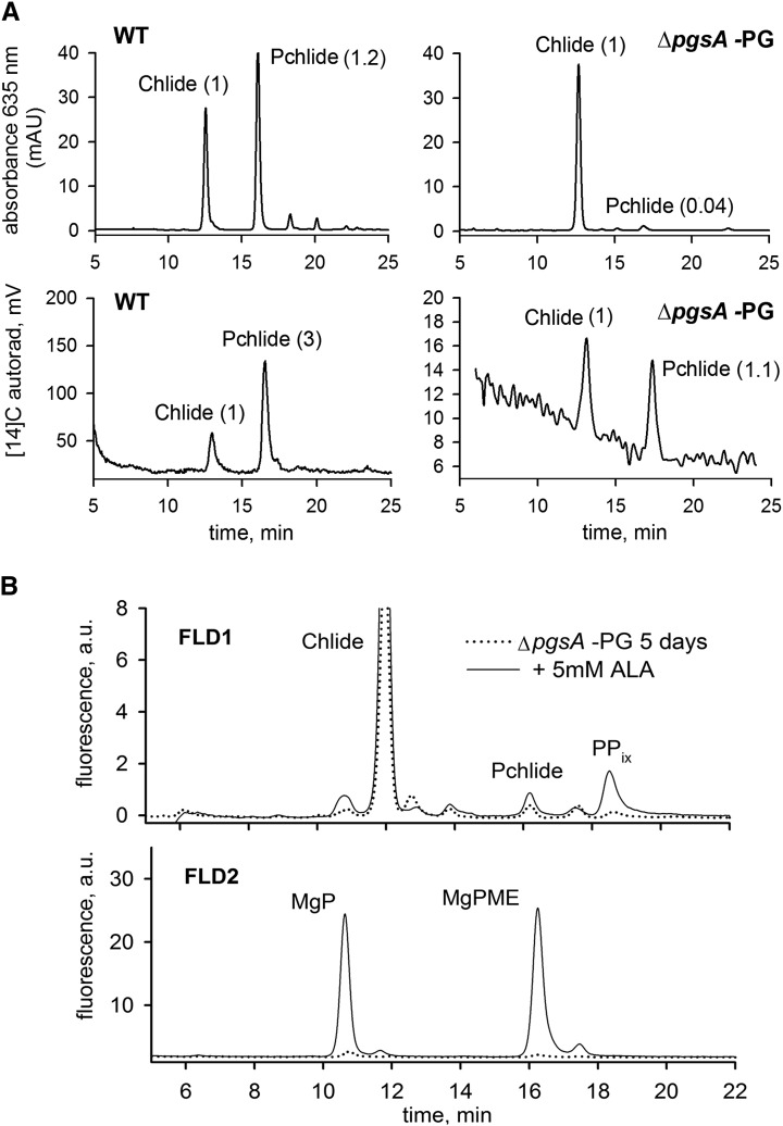 Figure 3.