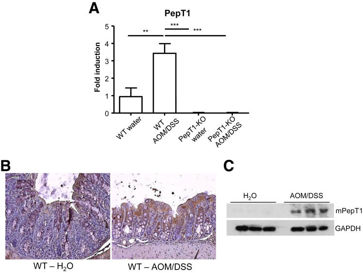 Figure 5